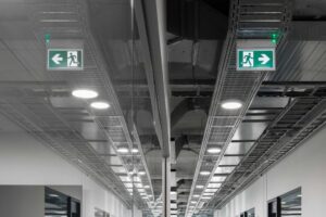 Alfa00002_2-1024x683 (1)