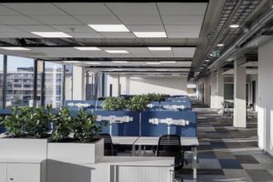 Alfa00004_2-1024x683 (1)