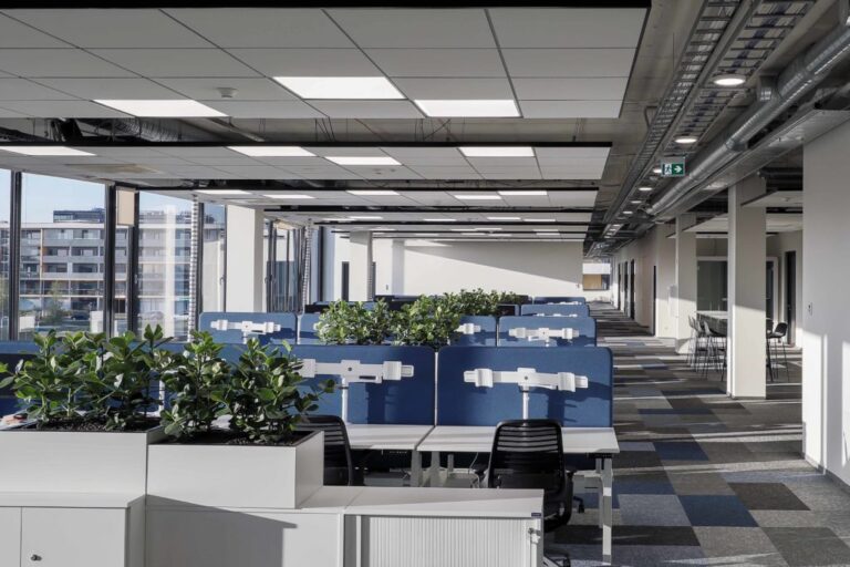 Alfa00004_2-1024x683