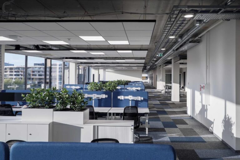 Alfa00006_2-1024x683