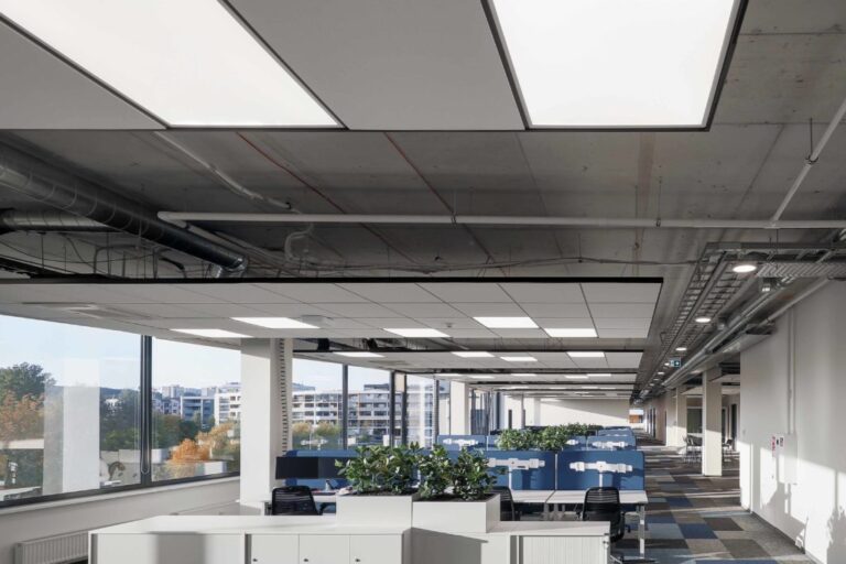 Alfa00008_2-1024x683