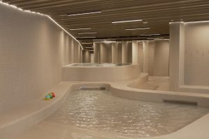 Lazdynu baseinas_Leddex_2026_Karol Pašnikovič nuotr „Active Vilnius“-04