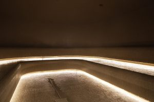 Lazdynu baseinas_Leddex_2026_Karol Pašnikovič nuotr „Active Vilnius“-06